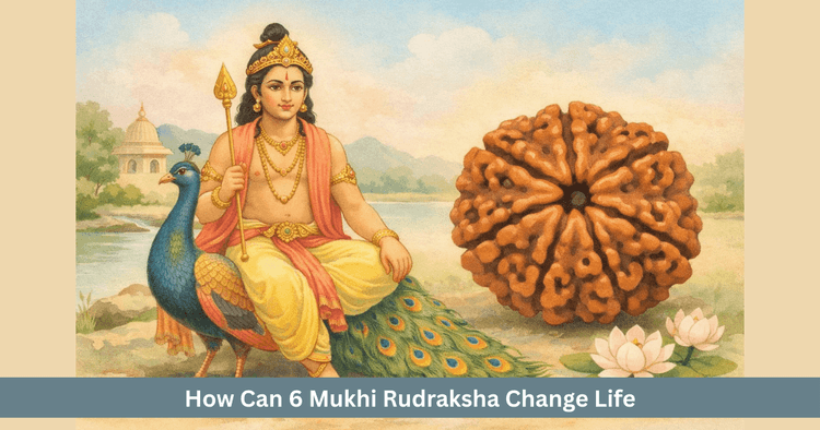 Six Mukhi Rudraksha Benefits and Rules