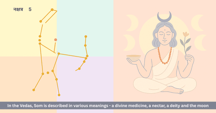 Mrigashira Nakshatra and Som: The Vedic Path to Self-Discovery and Nectar