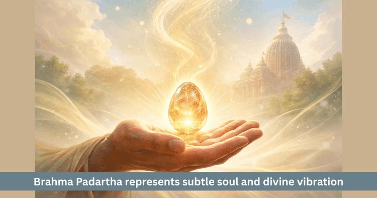 Brahma Padartha Mystery and the Thumb-Sized Soul Concept