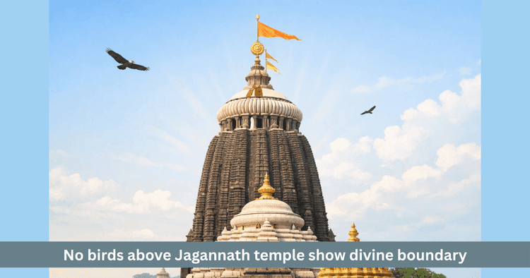 Why No Birds Fly Above Jagannath Temple