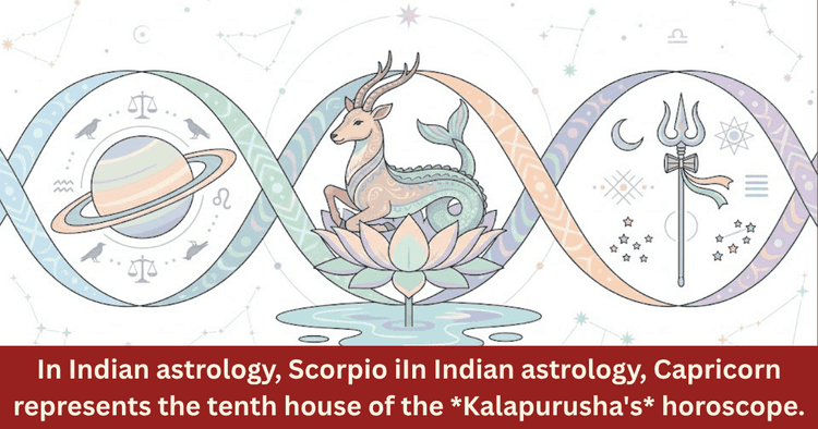 Capricorn Love Relationship And Secret Nature Analysis