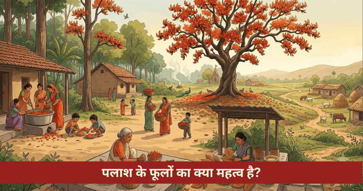 पलाश के फूल: स्वास्थ्य लाभ, चंद्र शुक्र उपाय और प्राकृतिक गुलाल