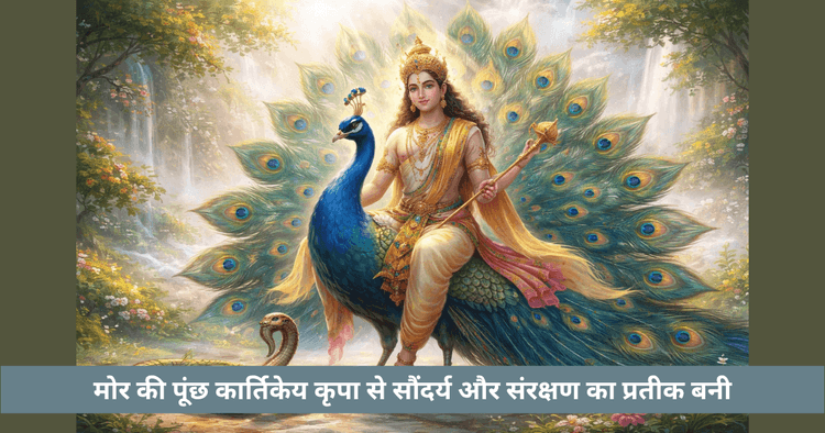 कार्तिकेय मोर प्रतीक | दिव्य अर्थ रहस्य