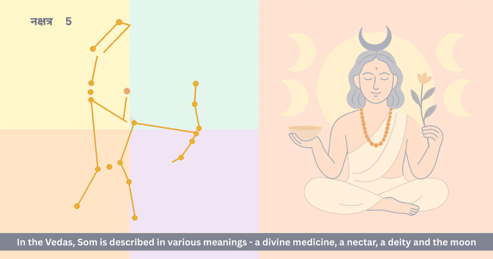 Mrigashira Nakshatra and Som: The Vedic Path to Self-Discovery and Nectar