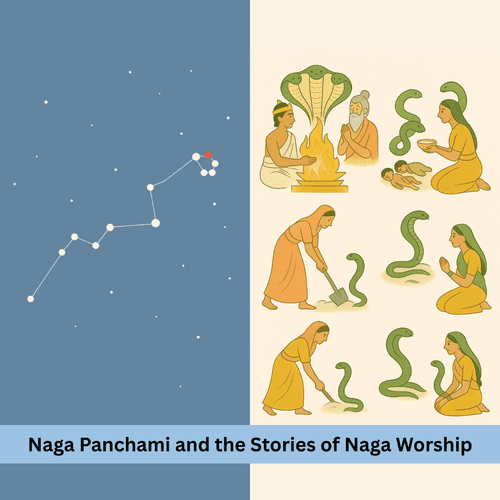 Naga Panchami and Stories of Naga Worship - Origin, Milk Offering Tradition and the Secret of Protection