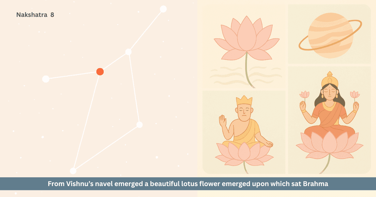 Lotus and Pushya