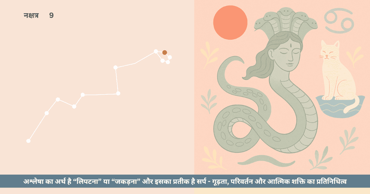 अश्लेषा नक्षत्र