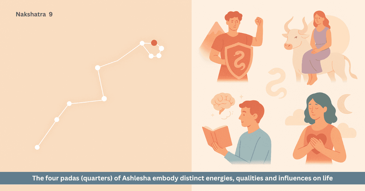 Ashlesha Nakshatra’s Four Padas