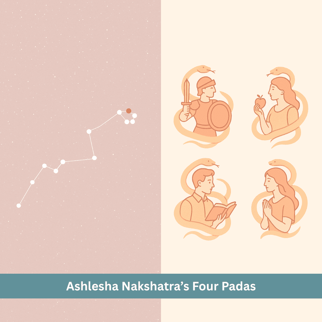 Ashlesha Nakshatra’s Four Padas - Depth Insight and Life Influences