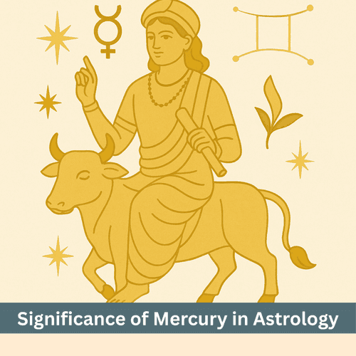 Positive and Negative Effects of Mercury in 12 Houses  