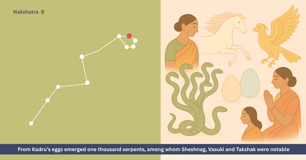 Kadru and Vinata Story - Origin of Serpents, Garuda-Naga Enmity