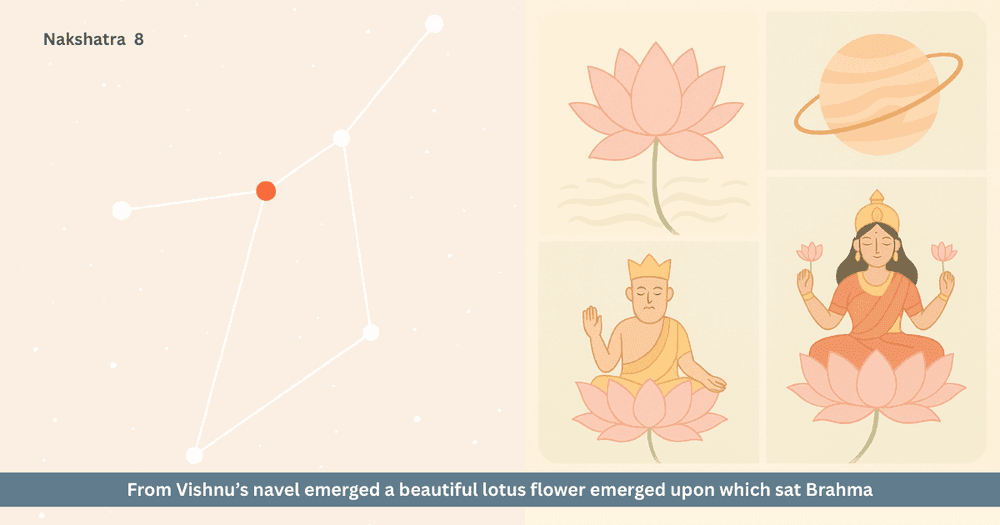 Lotus and Pushya: A Tale of Purity Blossoming in Struggle