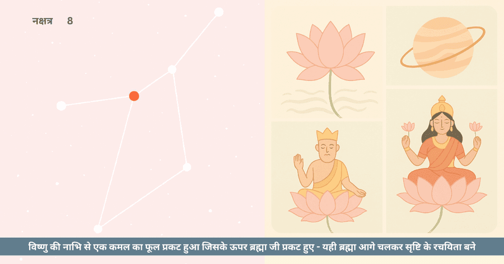 कमल और पुष्य: संघर्ष में खिलती पवित्रता की कथा