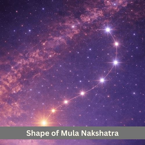 The Sky Shape of Mula Nakshatra: A Hooked Tail End in Scorpius