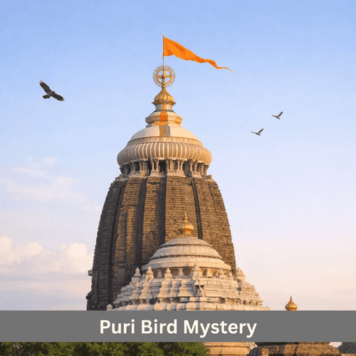 Why Birds Don’t Fly Above Jagannath Temple Peak