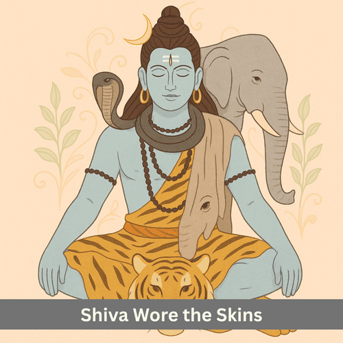 When Shiva Wore the Skins of Elephants and Tigers