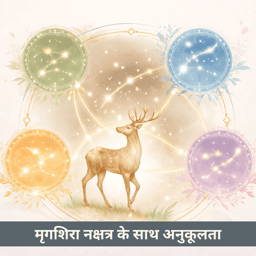 मृगशिरा नक्षत्र: जिज्ञासा, अन्वेषण और संबंध संगतता