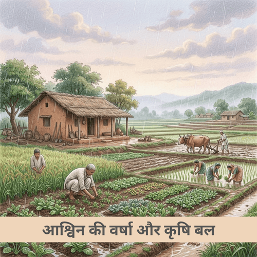 आश्विन की वर्षा और कृषि बल