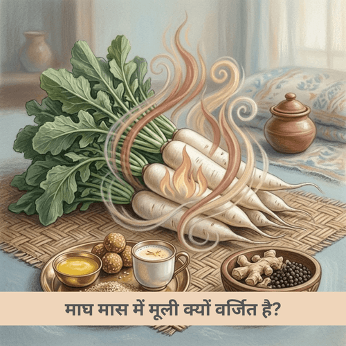 माघ मास में मूली क्यों वर्जित है?