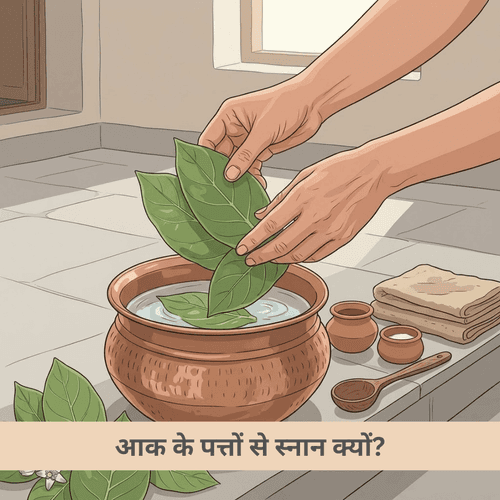 आक के पत्तों से स्नान क्यों?
