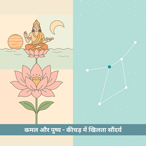 कमल और पुष्य - कीचड़ में खिलता सौंदर्य