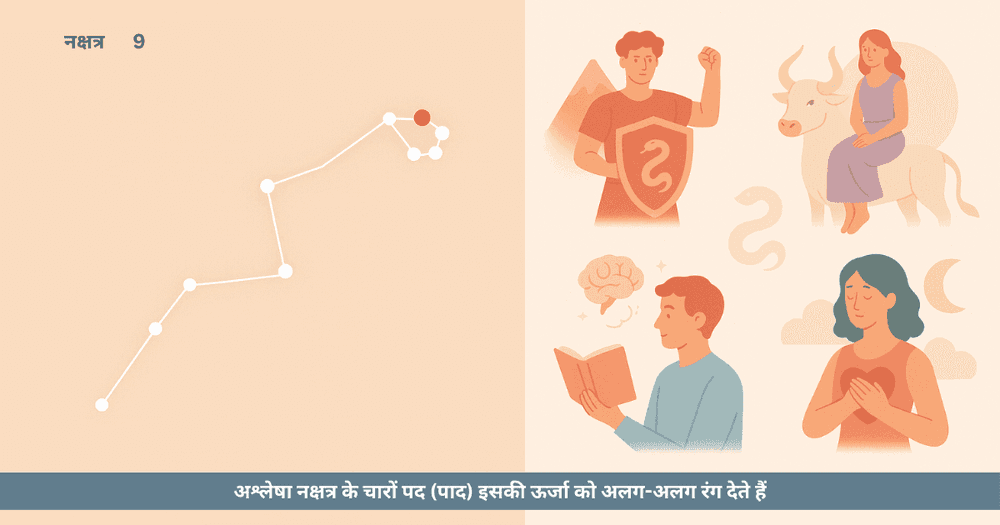 अश्लेषा नक्षत्र के चार पद - जीवन में गहराई और प्रभाव