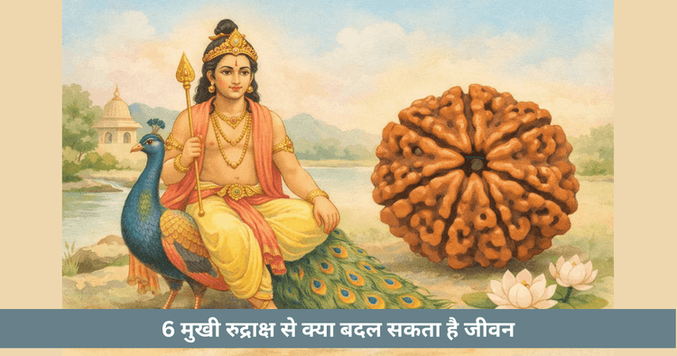 6 मुखी रुद्राक्ष के फायदे नियम और नुकसान