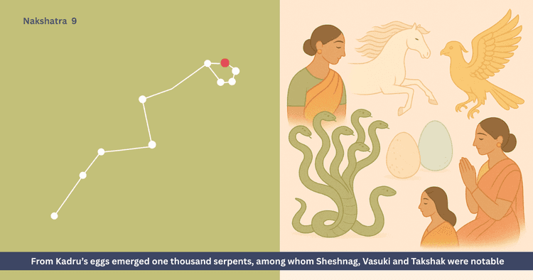 Kadru and Vinata Story - Origin of Serpents, Garuda-Naga Enmity