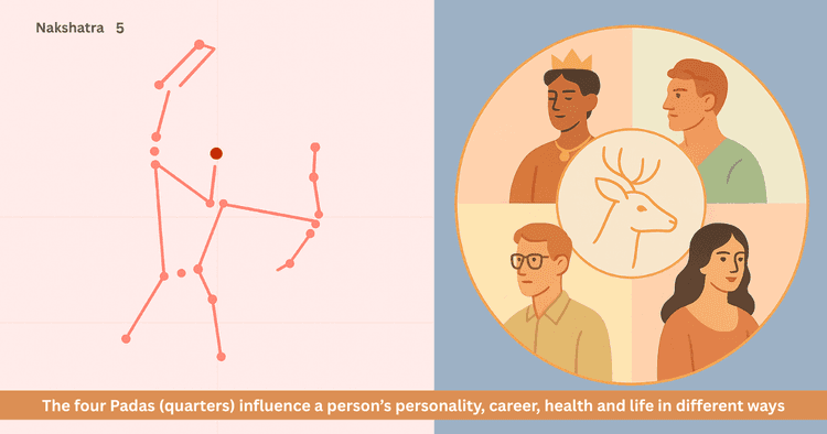 Mrigashira Nakshatra Four Padas: Personality, Career & Health Insights