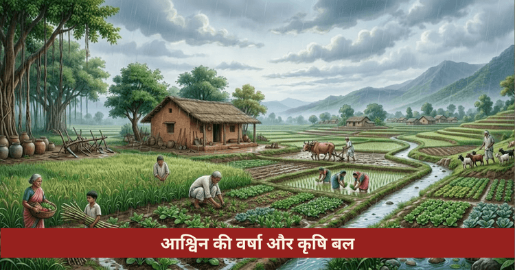 आश्विन की वर्षा और रबी फसल: कृषि महत्व
