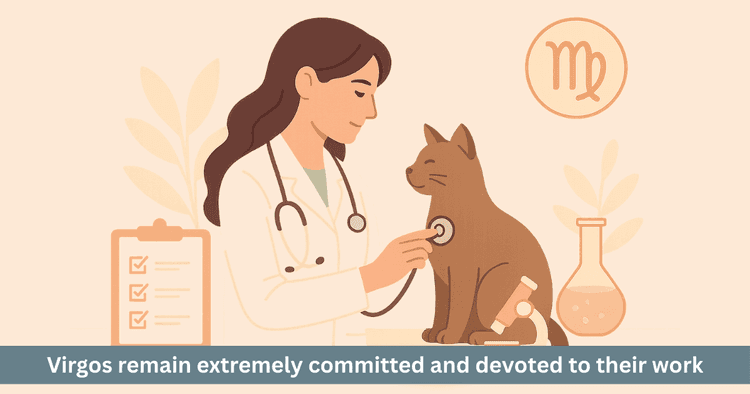 Virgo Career Guide: Top Jobs and Skills