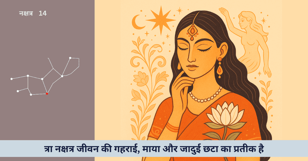 चित्रा: जीवन का स्वरुप, संधि, चुनौतियाँ, पेशे, निर्माण, FAQs