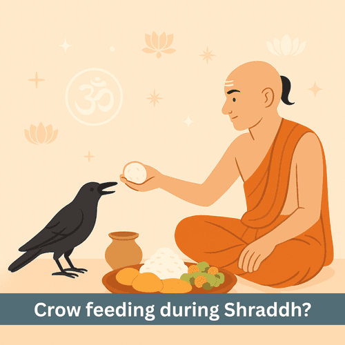 Pitru Paksh 2025: Why Is Crow Feeding Central in Shraddh and What to Do If Absent?