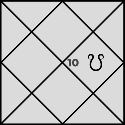 दशम भाव में केतु के क्या प्रभाव होते हैं?