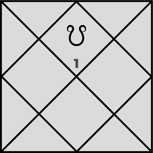 What Are the Effects of Ketu in the First House?