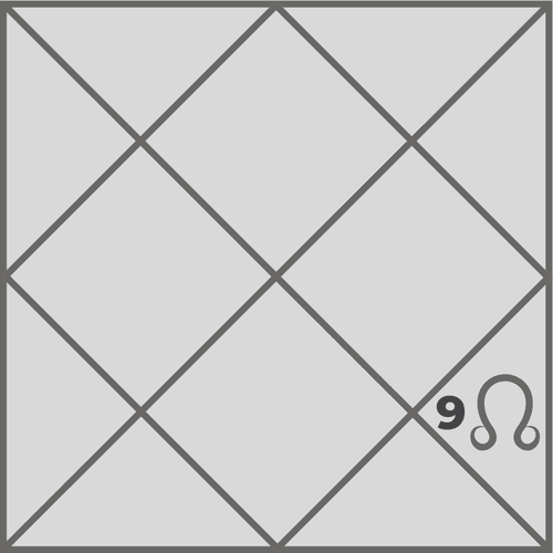 What is the effect of Rahu in the ninth house and how does it shape fortune and spiritual life